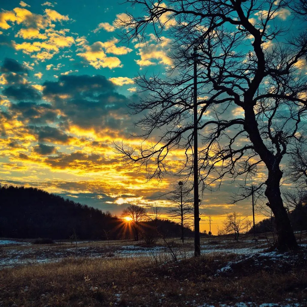 Exhaustion and Capitulation Detector indicator